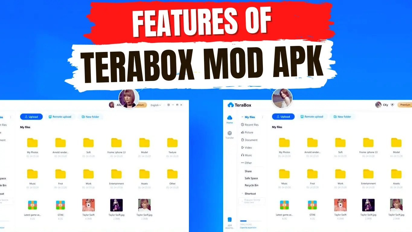 Features of Terabox MOD APK